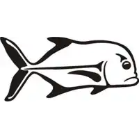 Pegatina PEZ TROPICAL. Pegatinas surferas.