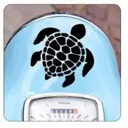 Pegatina TORTUGA. Vinilo de alta calidad, soporta perfectamente la intemperie, apto incluso para náutica. Pégala donde quieras, 