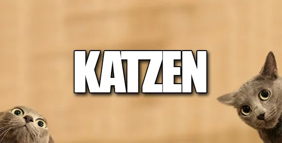 katzen aufkleber