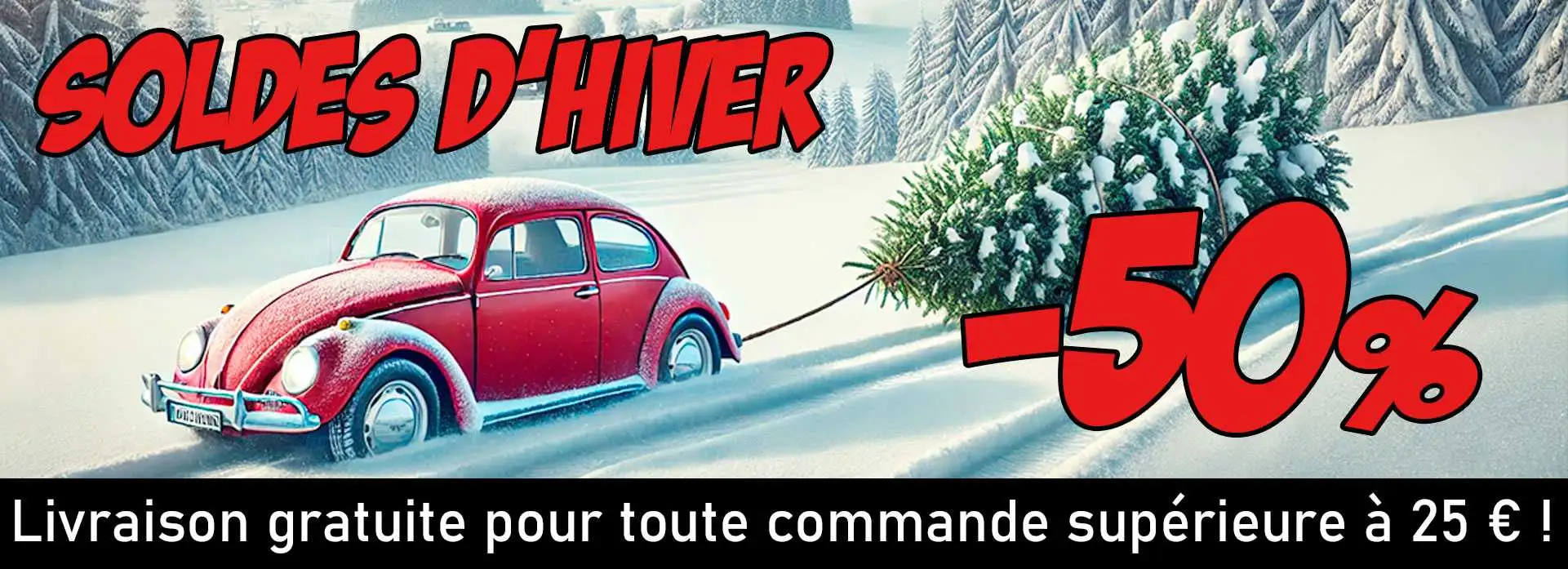 Decoración de invierno